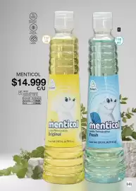 Catálogo Juana Bonita Página 141