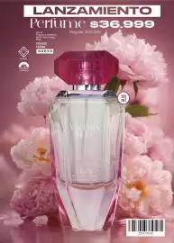 Catálogo Juana Bonita Página 156