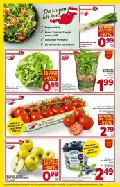 Billa Flugblatt woche 17 Seite 6