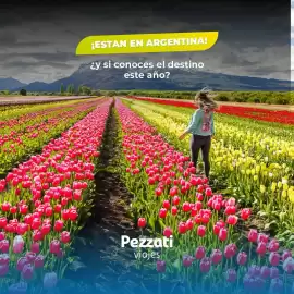 Catálogo Pezzati Viajes Página 3