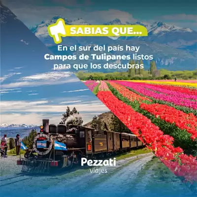 Pezzati Viajes (válido hasta 30-04)