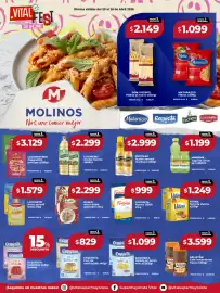 Catálogo Supermayorista Vital semana 17 Página 13