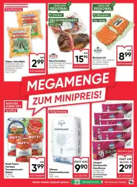 Maximarkt Flugblatt woche 17 Seite 13