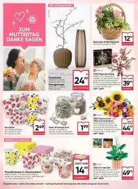 Maximarkt Flugblatt woche 17 Seite 22
