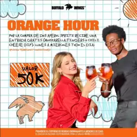 Catálogo Buffalo Wings Página 13