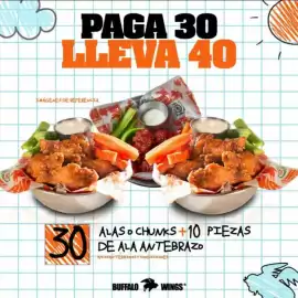 Catálogo Buffalo Wings Página 19