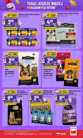 Polomarket gazetka tydzień 17 Strona 9