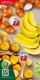 Catálogo Maxi Dia semana 17 Página 4