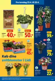 Lidl tilbudsavis Side 16