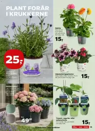 SuperBrugsen tilbudsavis uge 17 Side 15