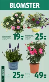 Coop 365 tilbudsavis uge 17 Side 25