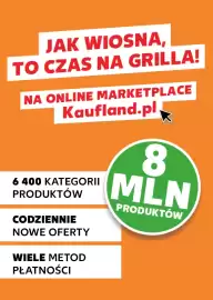 Kaufland gazetka Strona 14