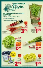 Billa Flugblatt woche 17 Seite 8