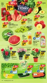 Albert leták | Supermarket Strana 10