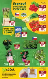 Billa leták týden 17 Strana 5