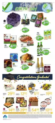 Albertsons weekly ad