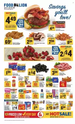 Food Lion (valid until 28-04)