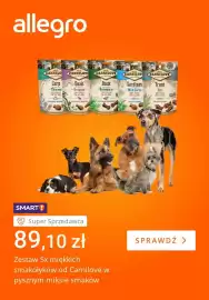 Allegro gazetka tydzień 17 Strona 4