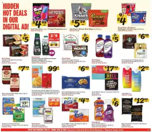 Winn Dixie weekly ad week 17 Page 11