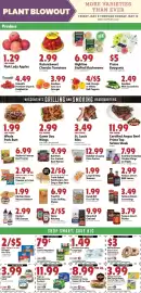 Festival Foods weekly ad week 17 Page 3