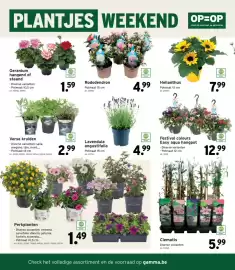 GAMMA folder Pagina 2