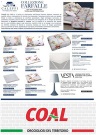 Volantino Coal Pagina 8