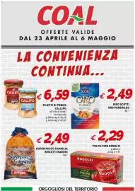 Volantino Coal Pagina 1