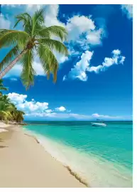 Catalogue Fram page 413