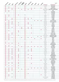 Catalogue Fram page 447