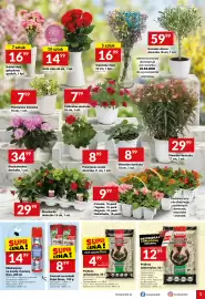 Twój Market gazetka tydzień 17 Strona 3