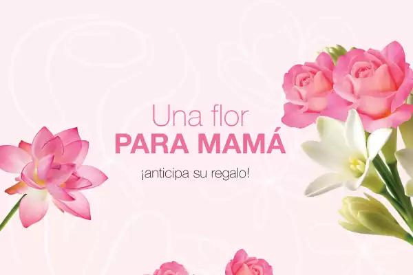 Arabela (válido hasta 4-05)