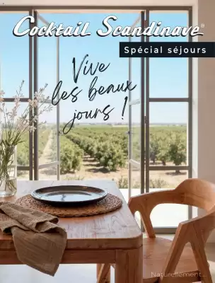 Cocktail Scandinave (valable jusqu'au 1-08)