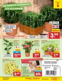 Netto Marken-Discount Prospekt woche 18 Seite 11