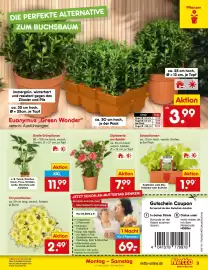 Netto Marken-Discount Prospekt woche 18 Seite 11