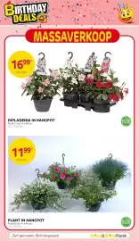 BricoPlanit folder Pagina 23