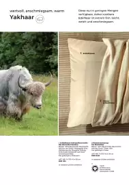 Grüne Erde Flugblatt Seite 100