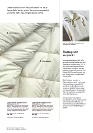 Grüne Erde Flugblatt Seite 103