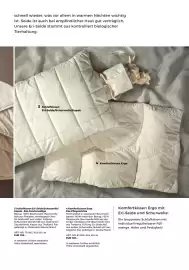 Grüne Erde Flugblatt Seite 105