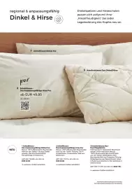 Grüne Erde Flugblatt Seite 110