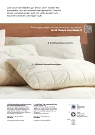 Grüne Erde Flugblatt Seite 111
