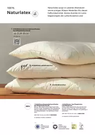 Grüne Erde Flugblatt Seite 112