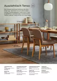 Grüne Erde Flugblatt Seite 178