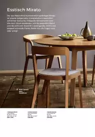 Grüne Erde Flugblatt Seite 184