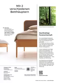 Grüne Erde Flugblatt Seite 29
