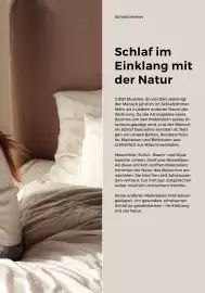 Grüne Erde Flugblatt Seite 5