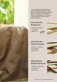 Grüne Erde Flugblatt Seite 57