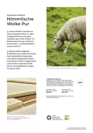 Grüne Erde Flugblatt Seite 58