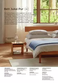 Grüne Erde Flugblatt Seite 6