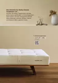 Grüne Erde Flugblatt Seite 60