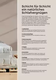 Grüne Erde Flugblatt Seite 79